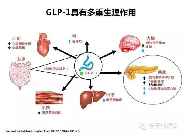  华体会体育app官方下载